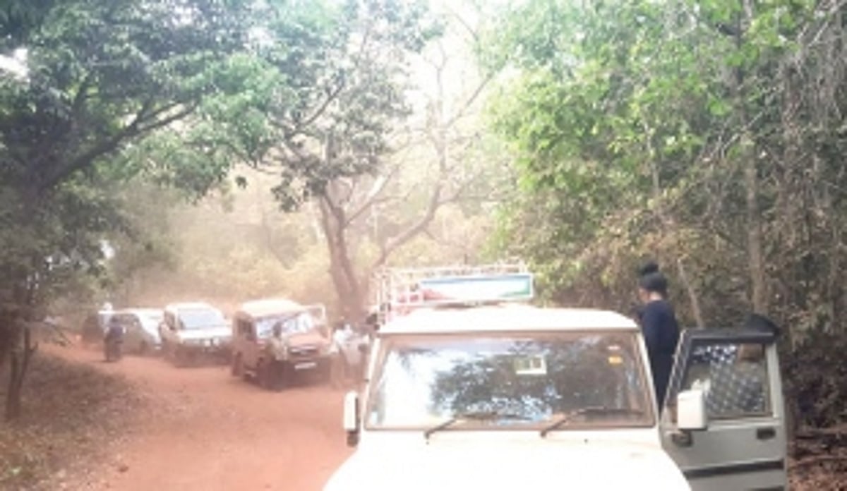 Traffic piles up on the narrow forested road to Govladevi Temple