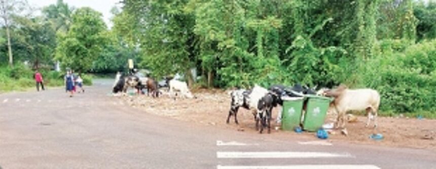 Traffic signals need of the hour