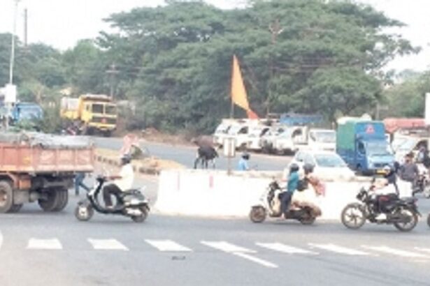 Traffic signals needed at Mangor-Varnapuri junction