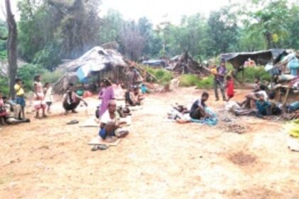 Tragedy brings a silver lining for the Vanarmare