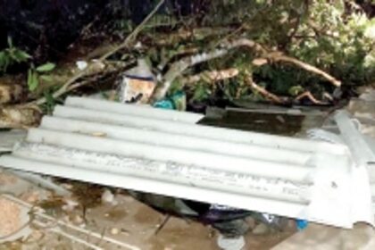 Tragedy strikes Betki family, mom & son die in tree crash