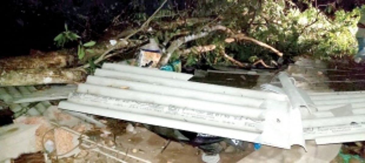 Tragedy strikes Betki family, mom & son die in tree crash