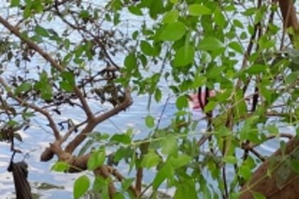 Tragic Discovery Near Sona Hotel: Deceased Woman Recovered from Water by Firefighters