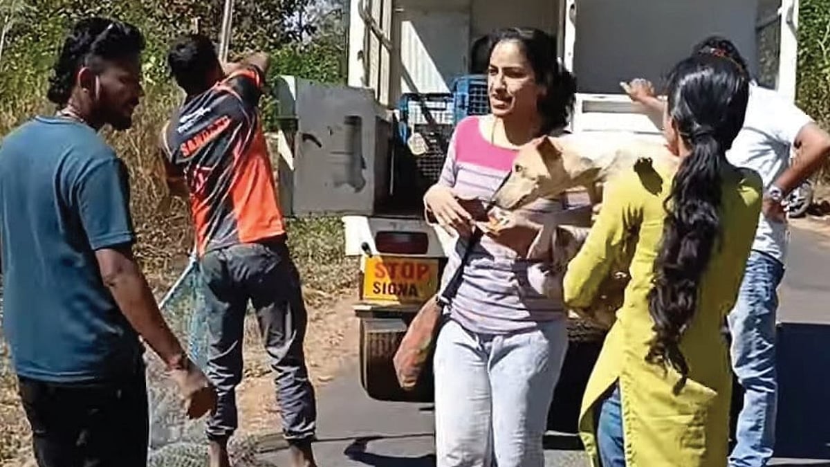 Trailblazers: The Grassroots Movement Tackling Stray Animal Crisis in Mormugao