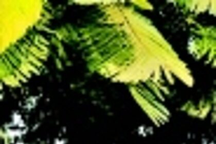 Trailblazing Magdeline D’Souza:  Goa’s only Catholic Hindi professor