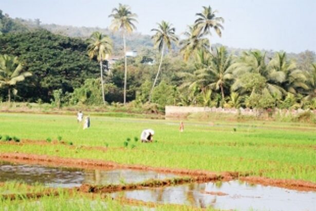 Training to make little village republics of Goa self-sufficient in a post COVID world