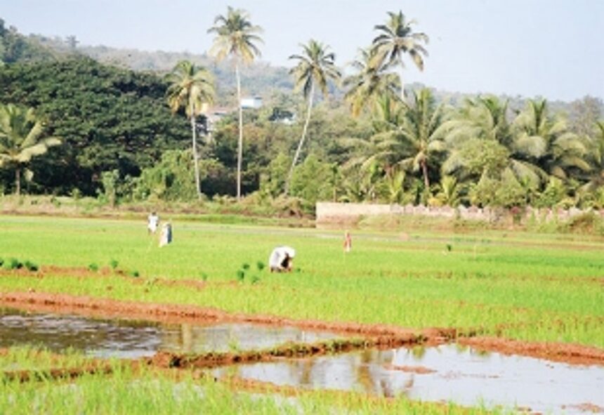 Training to make little village republics of Goa self-sufficient in a post COVID world 1 Training to make little village republics of Goa self-sufficient in a post COVID world
