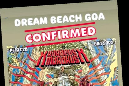 Trance fest nightmare at Dream Beach turtle site