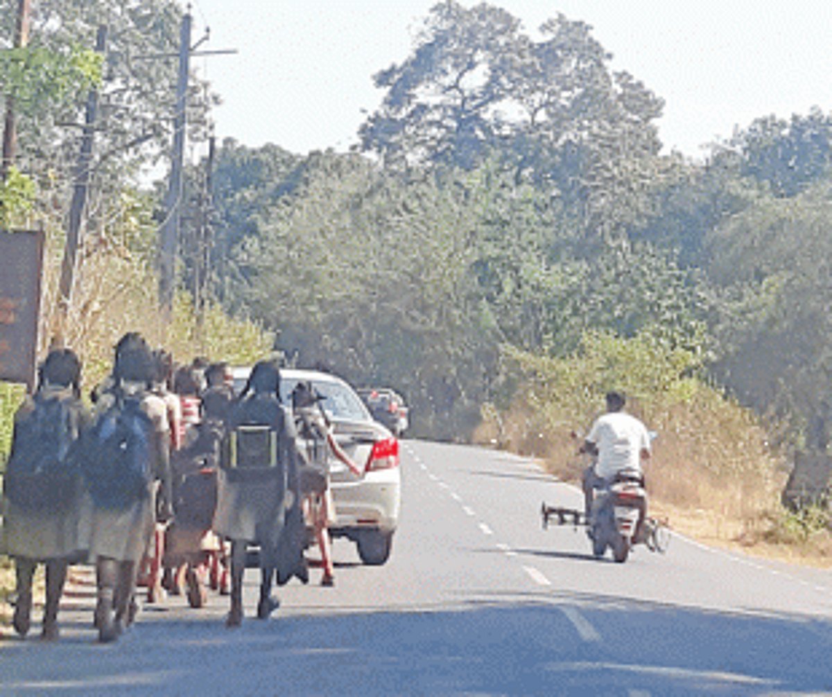 Transport withdrawn, students  face brunt in mining belt