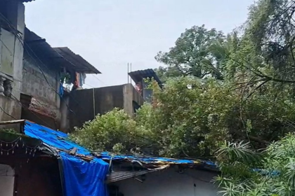 Tree Branch Falls on House in Chinchwado Chimbel; No Major Damage Reported