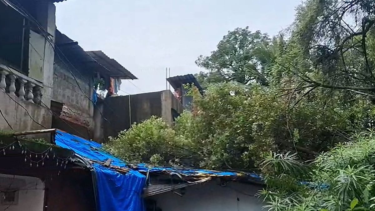 Tree Branch Falls on House in Chinchwado Chimbel; No Major Damage Reported