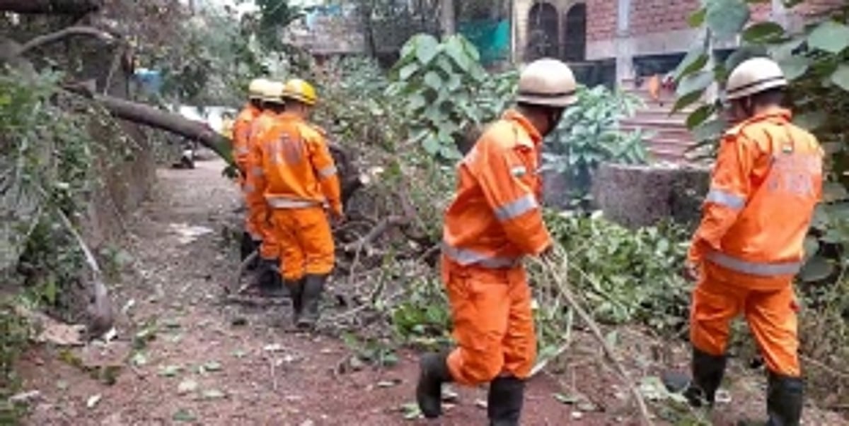 Tree Falls on Road at Duler Dangui Colony, Prompt Fire Officials Tackle the Situation