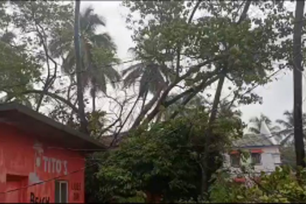 Tree collapses on shops and chapel at Chapora; no injuries reported