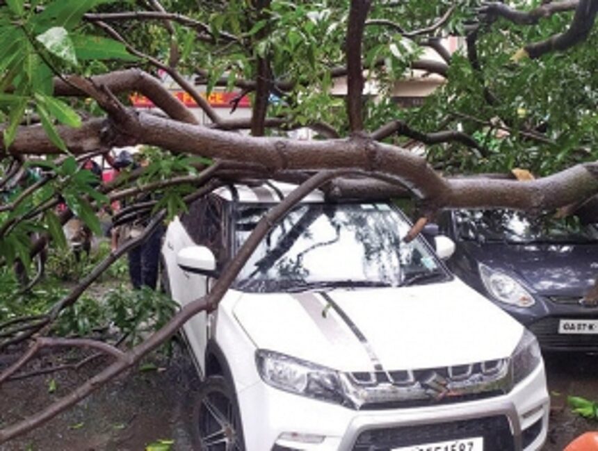 Tree comes down crashing onto 5 vehicles in Panjim