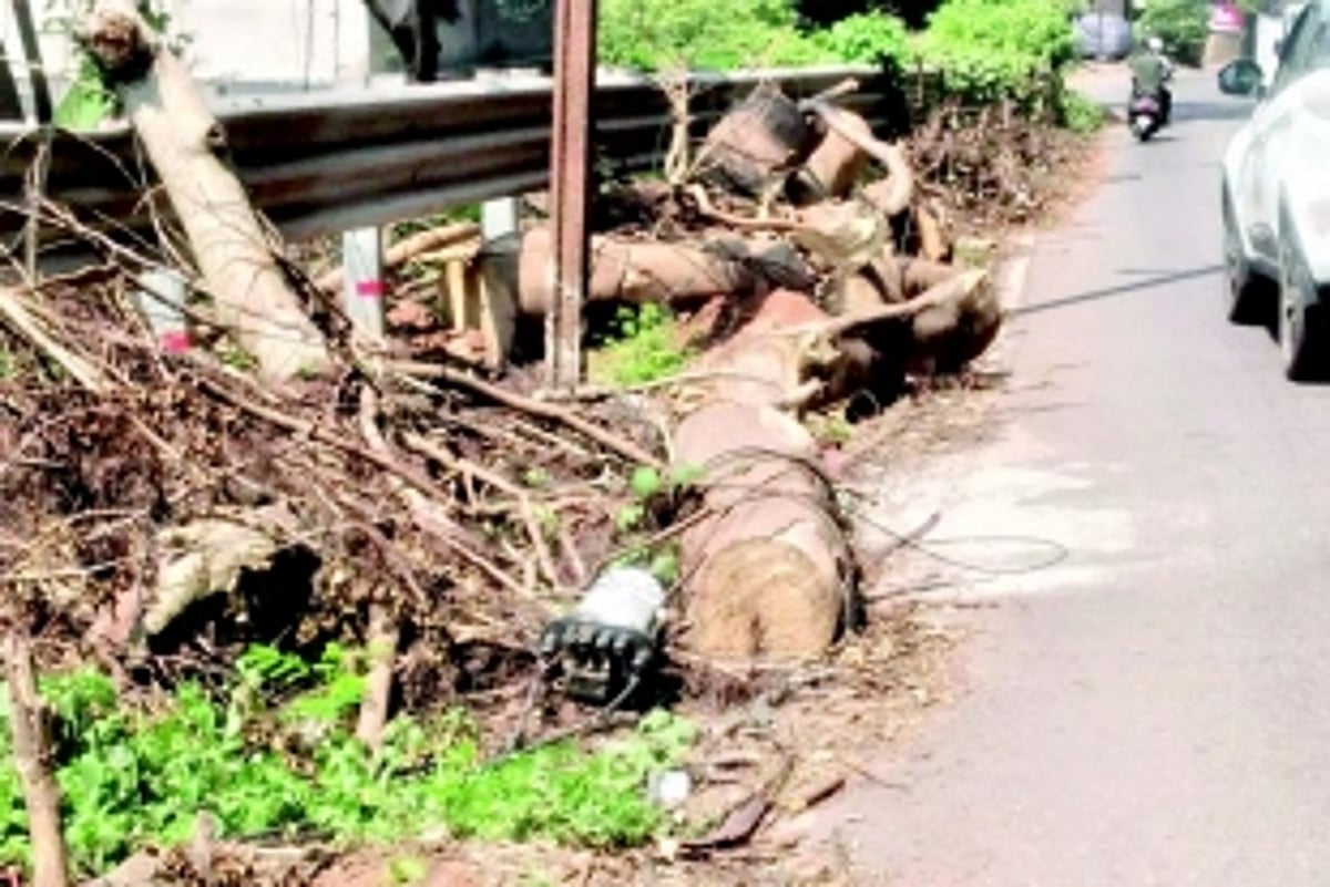 Tree debris along Vasco-Mangor road poses danger