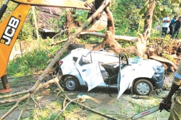 Tree falls on moving driving school car in Sanguem, kills mother-of-two