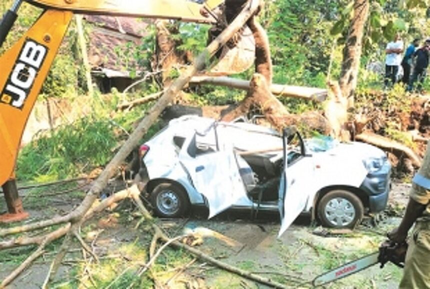 Tree falls on moving driving school car in Sanguem, kills mother-of-two 1 Tree falls on moving driving school car in Sanguem, kills mother-of-two