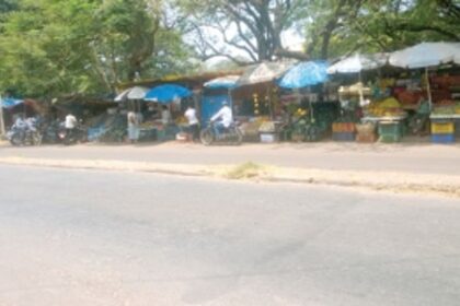 Tree plantation drive needed in Port town
