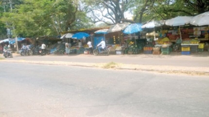 Tree plantation drive needed in Port town