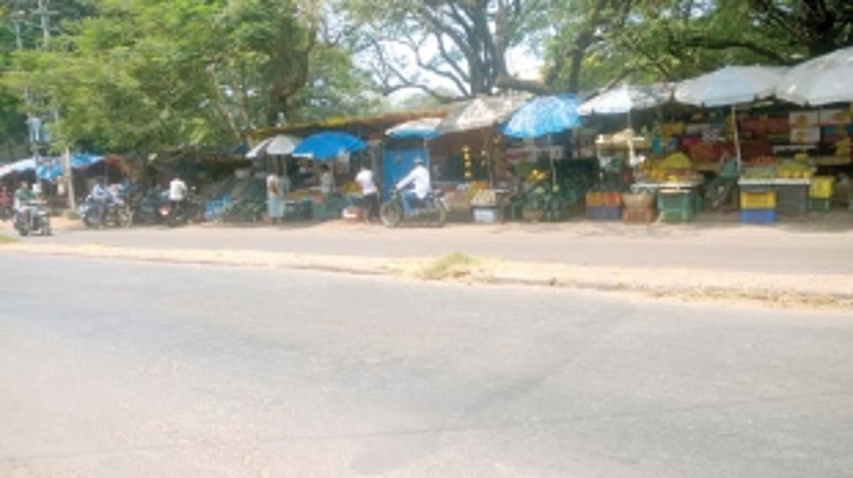 Tree plantation drive needed in Port town