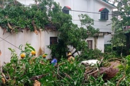 Tree uproots, damages house, car at Aldona