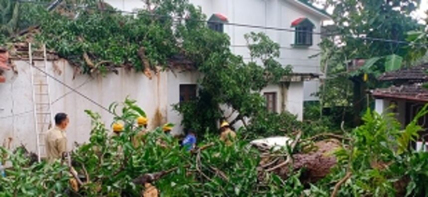 Tree uproots, damages house, car at Aldona 1 Tree uproots, damages house, car at Aldona