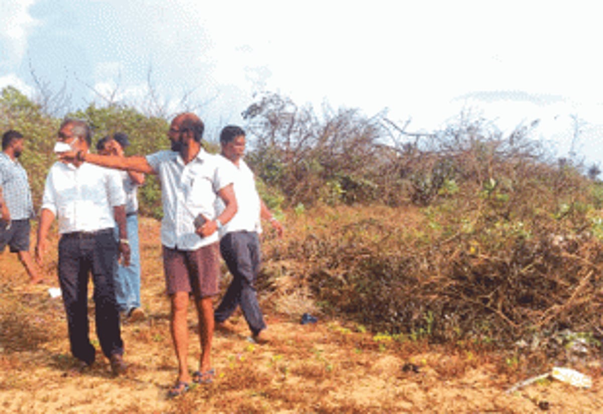 Trees felled, beach vegetation cleared in  No-Development Zone on Candolim Beach