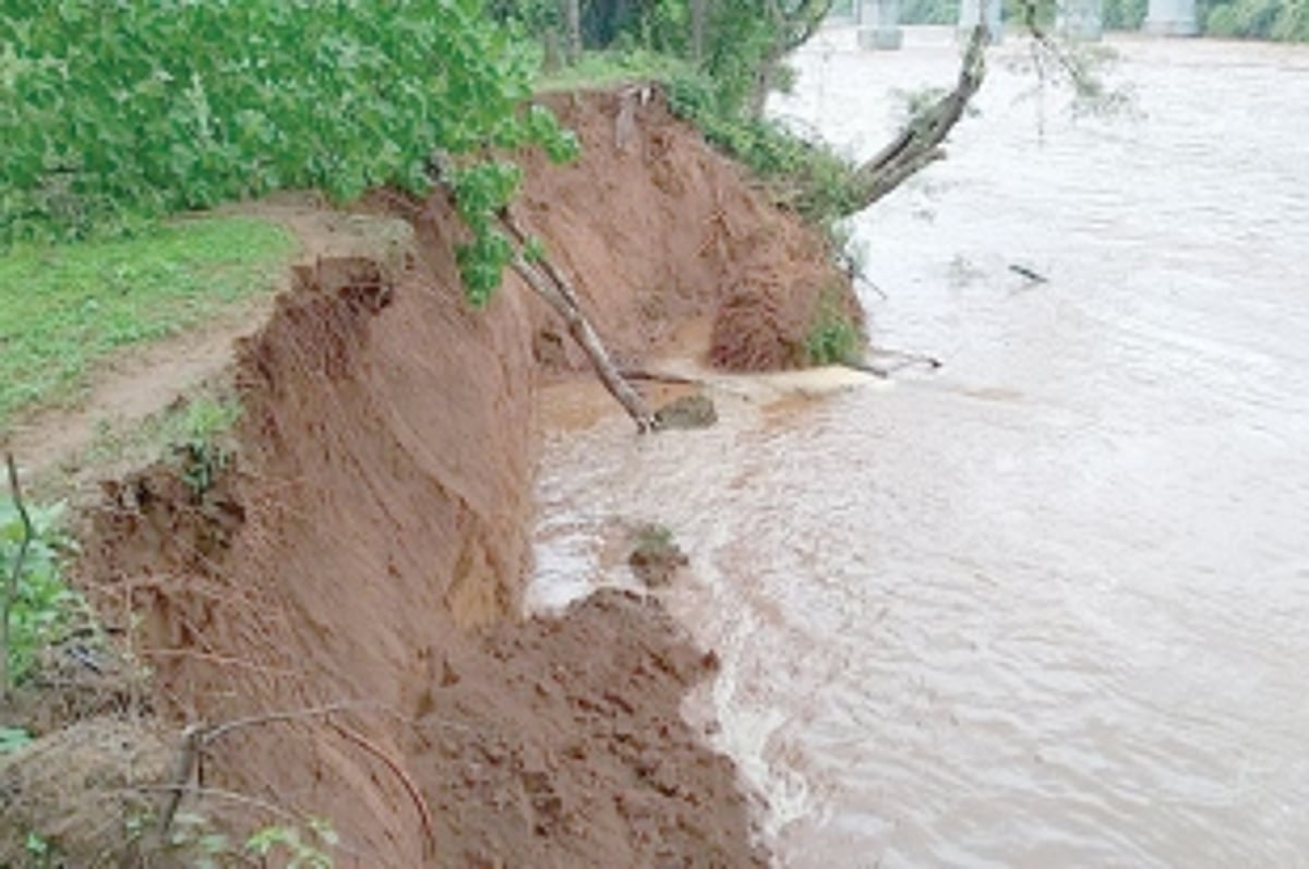 Trees uproot on Khandepar River  bank due to soil erosion