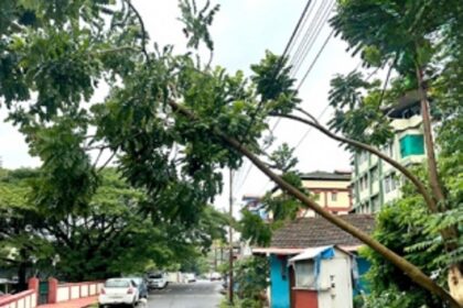 Trees uprooted, houses damaged as heavy rains lash Salcete