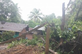 Trees uprooted, houses damaged in Ponda