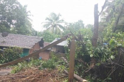 Trees uprooted, houses damaged in Ponda