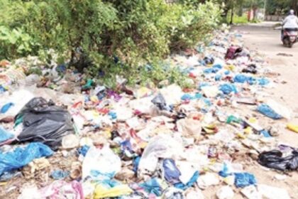 Truck driver caught red-handed while dumping garbage