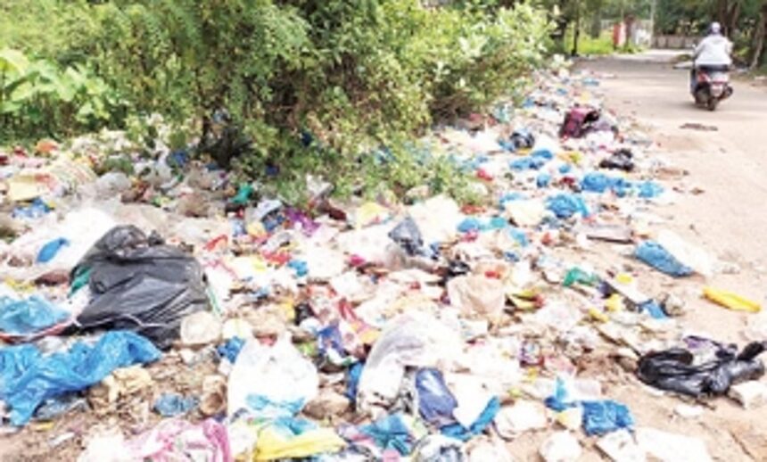 Truck driver caught red-handed while dumping garbage