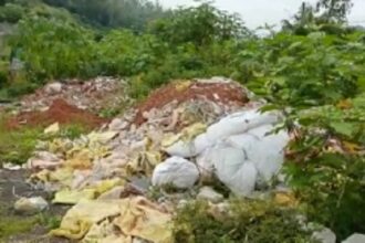 Truck driver nabbed while dumping banana leaves along  Kerya-Khandepar NH