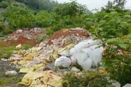 Truck driver nabbed while dumping banana leaves along  Kerya-Khandepar NH