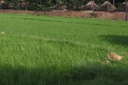 Truck lands in field at Malpem, driver rescued