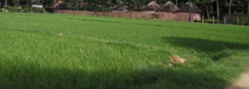 Truck lands in field at Malpem, driver rescued