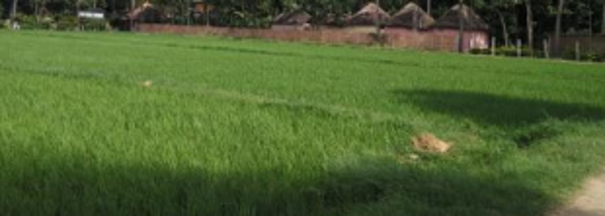 Truck lands in field at Malpem, driver rescued