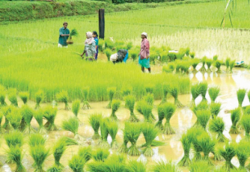 Turning around agriculture in the State 1 Turning around agriculture in the State