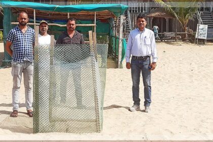 Turtles Return to Goa's Beaches for Nesting, Bringing Joy to Locals and Tourists