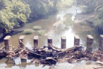 Twigs and branches  ‘scuttle’ ambitious  irrigation project