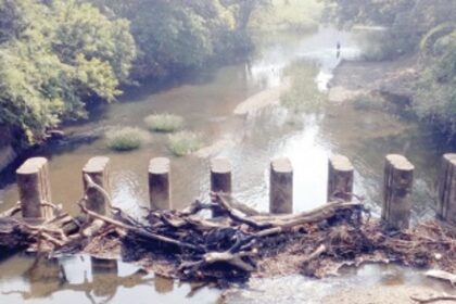 Twigs and branches  ‘scuttle’ ambitious  irrigation project