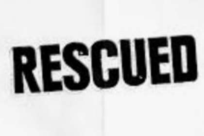 Two Bulls Rescued from Field Well in Agarwada by Pernem Fire Personnel