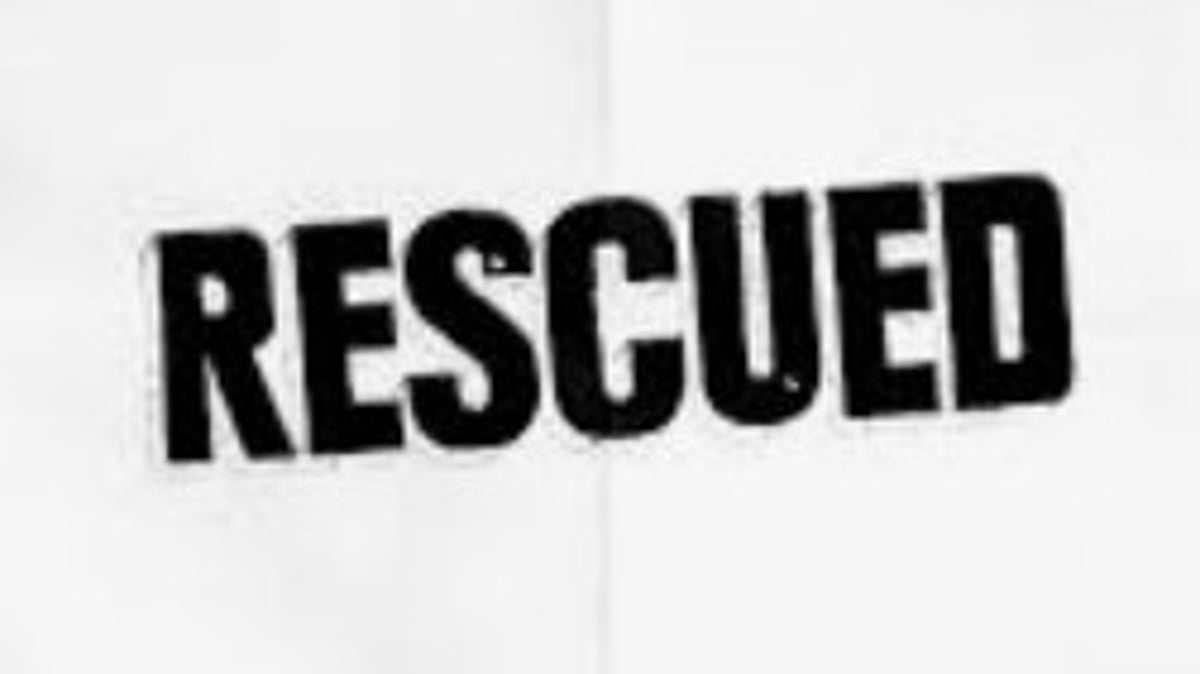 Two Bulls Rescued from Field Well in Agarwada by Pernem Fire Personnel