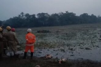 Two Drown in Separate Tragic Incidents; Investigations Underway in Curtorim and Loutolim