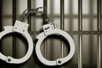 Two Major IPL 2025 Betting Operations Disrupted in Goa, Several Arrested