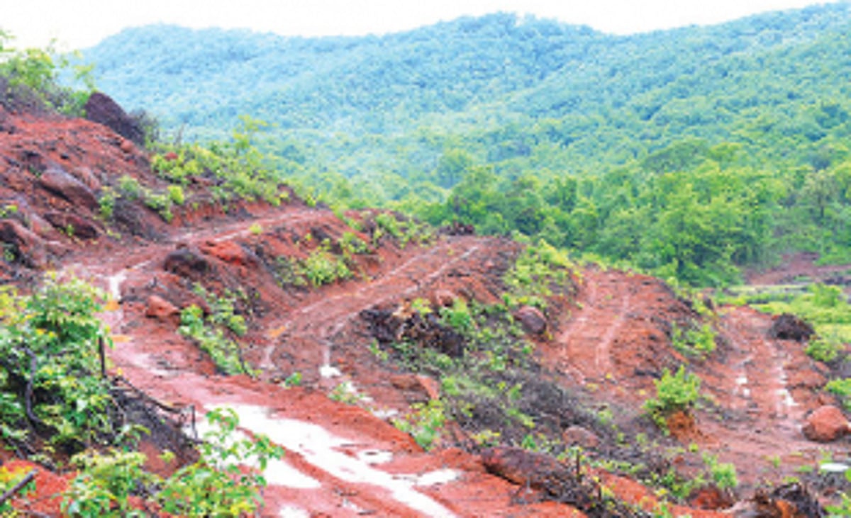 Two Save Mollem crusaders knock  court’s doors challenging arrest