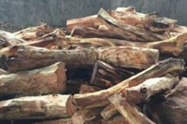 Two arrested for khairwood smuggling