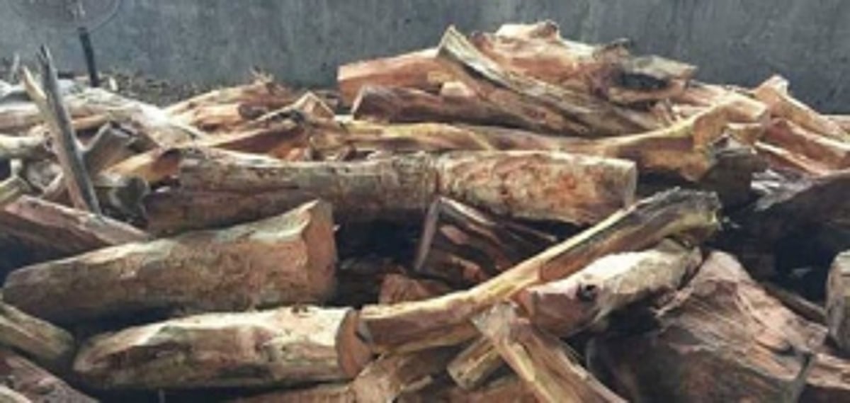 Two arrested for khairwood smuggling