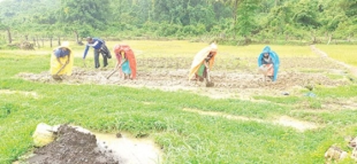 Two decades later, Mauxi  locals return to farming